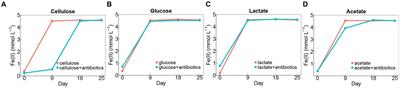 Unveil of the role of fungal taxa in iron(III) reduction in paddy soil